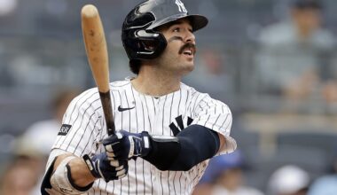 Yankees catcher Austin Wells will play for the Dominican Republic in the WBC