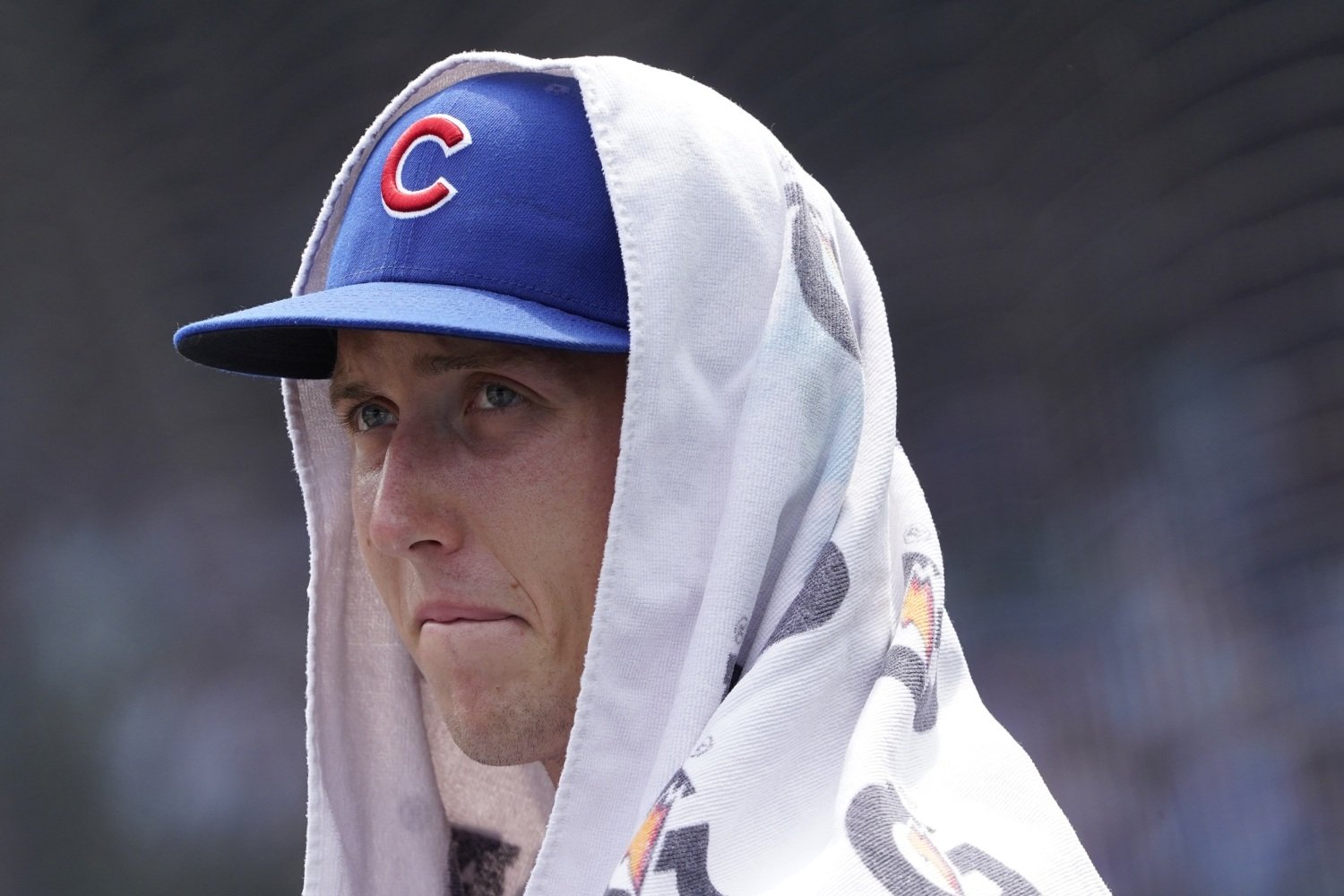 For the Second Year in a Row, Ben Brown Might Be the Most Interesting Cub in Camp - Cubs