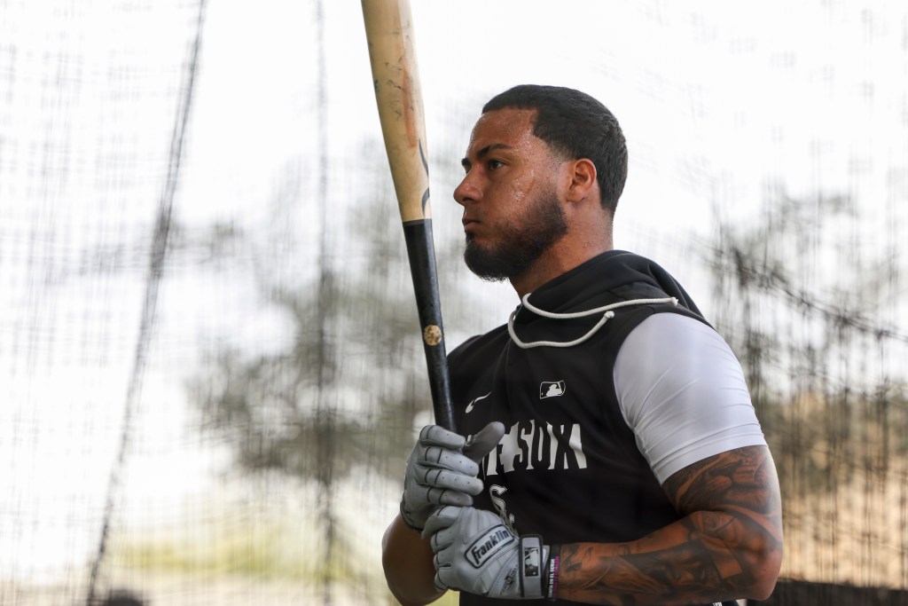 Chicago White Sox looking for best ways to use Lenyn Sosa