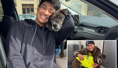 Dog that bolted into Colorado mountains reunited with owner after 43 days in wilderness