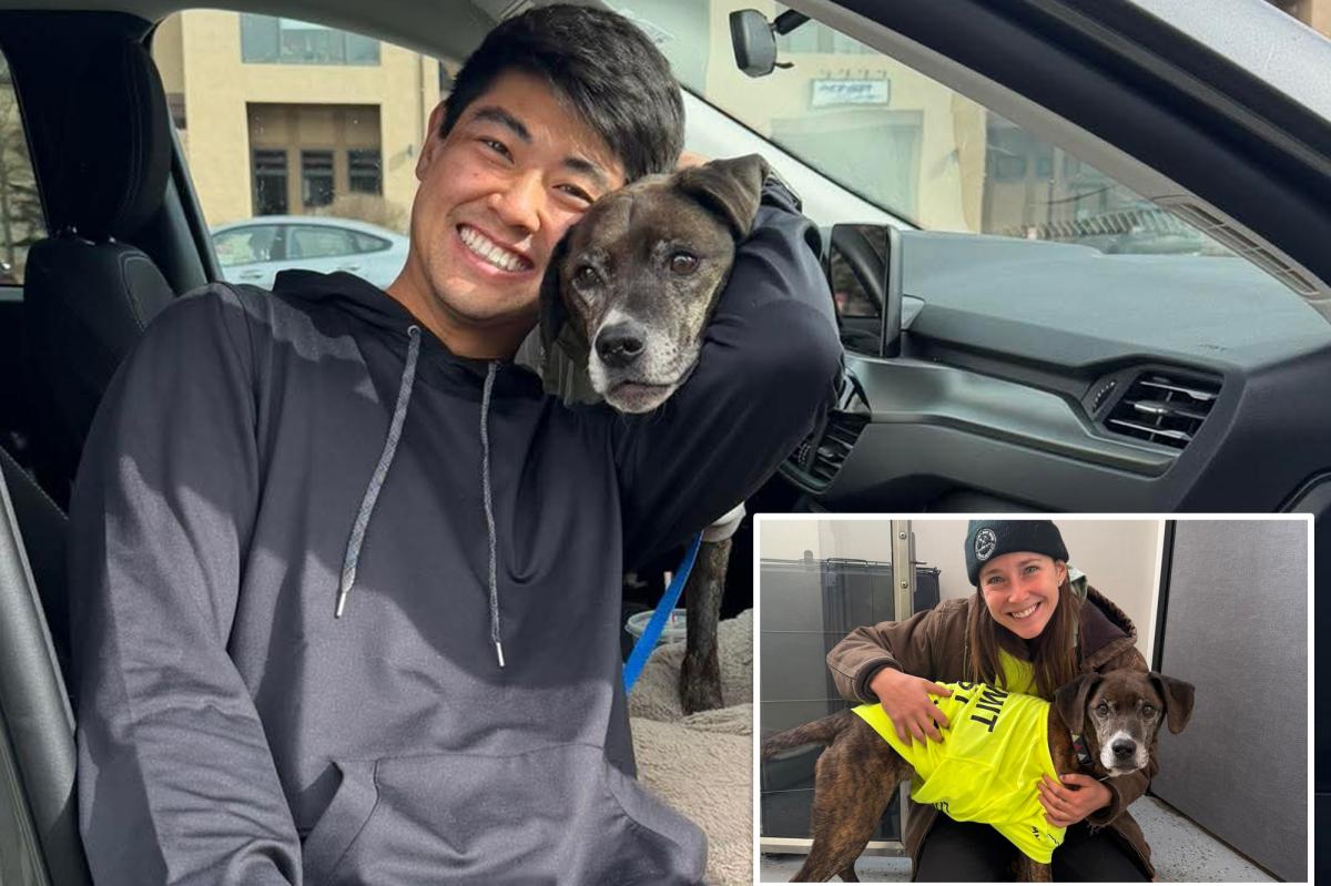 Dog that bolted into Colorado mountains reunited with owner after 43 days in wilderness