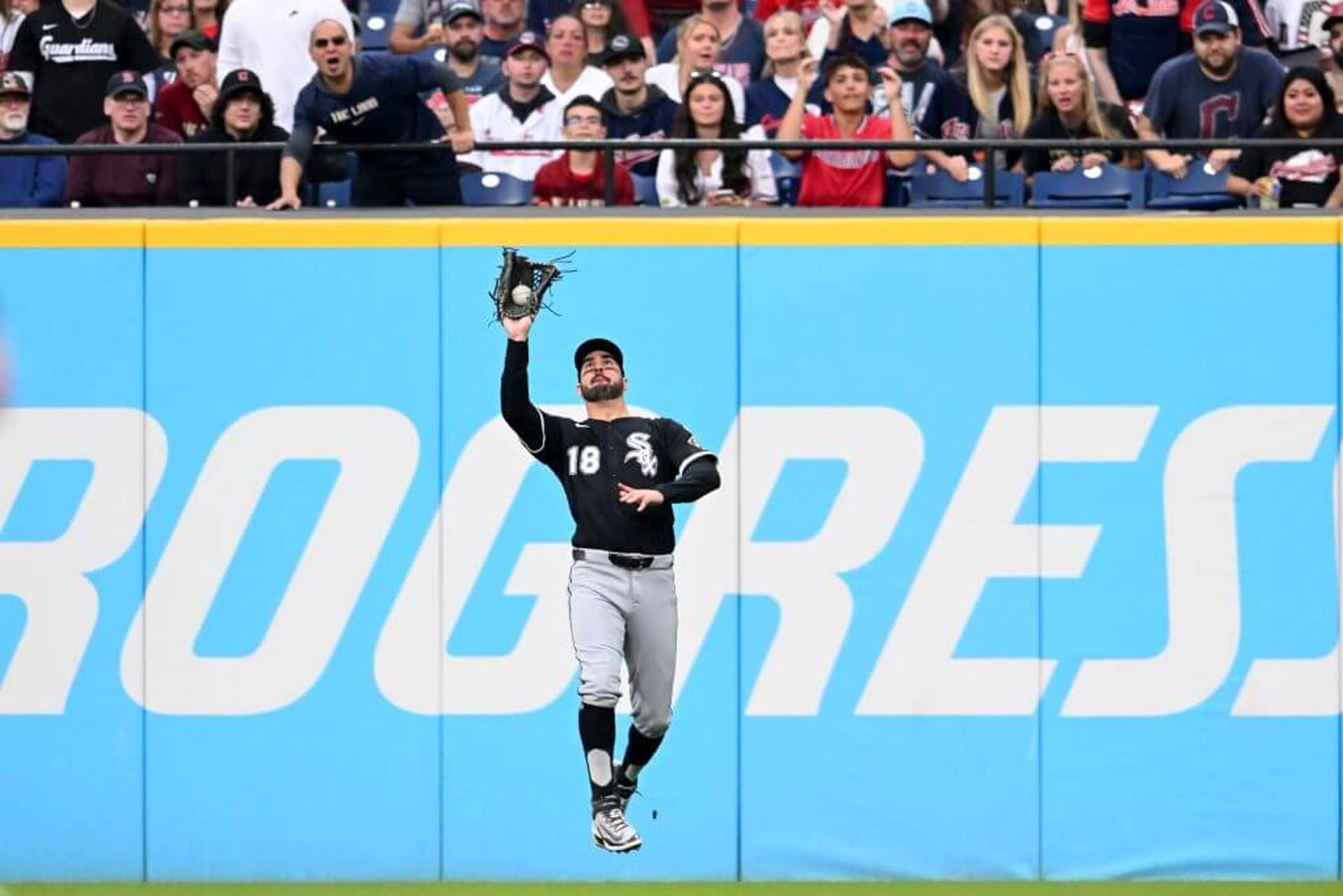 Mike Tauchman catches a fly ball during a game.