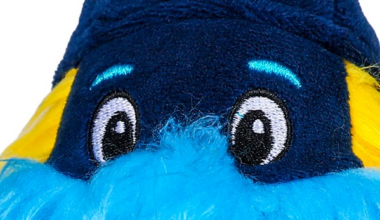 Rays announce Promotional Schedule for 2026