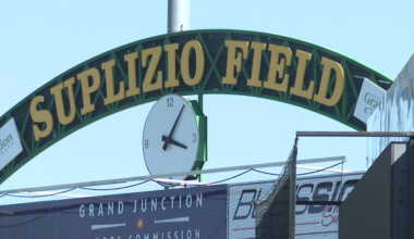 Play ball!; Baseball could be coming back to the Grand Valley