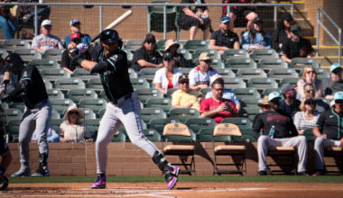 Diamondbacks outfielder Lourdes Gurriel Jr....