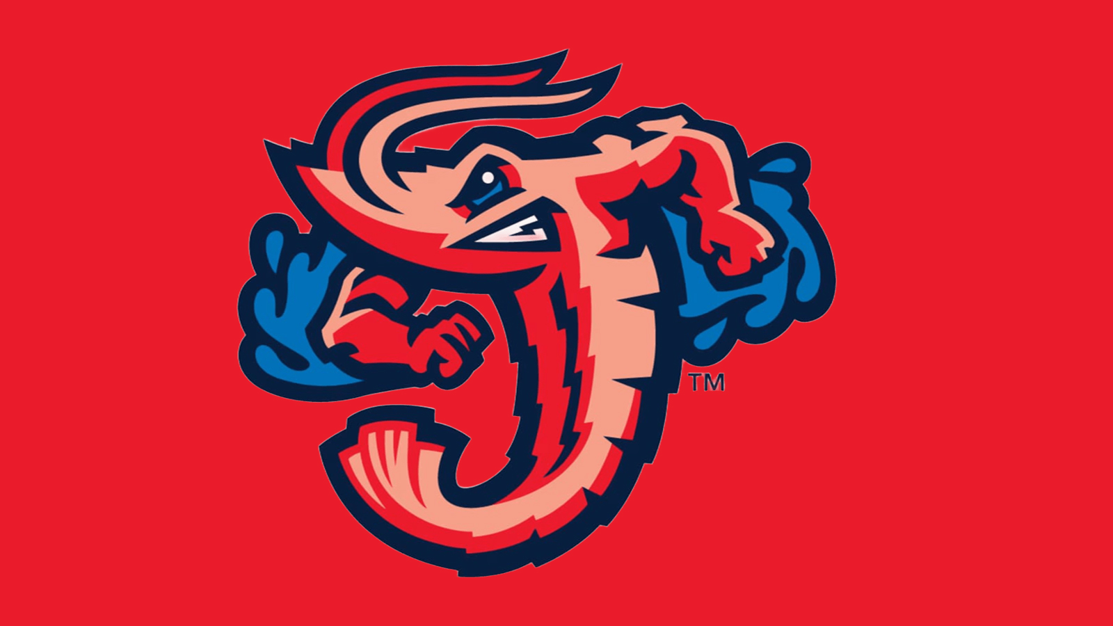 Jumbo Shrimp logo