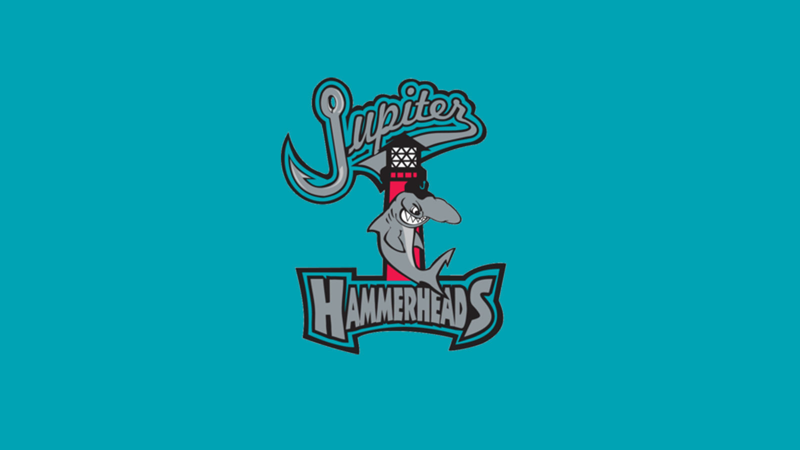 Hammerheads logo