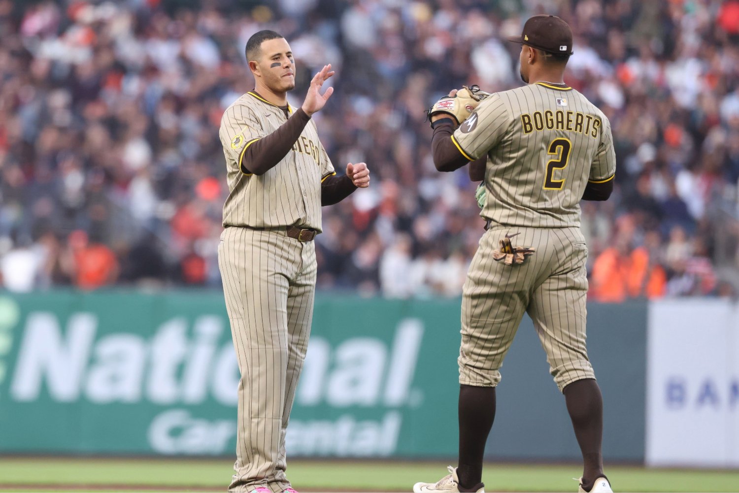 San Diego Padres Spring Preview 2026: Infield and Catcher - Padres