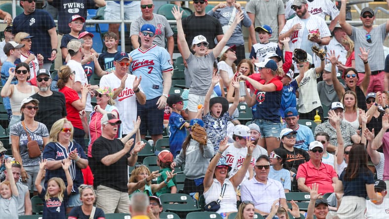 Minnesota Twins spring training