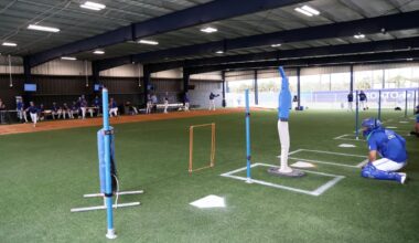 Blue Jays Nation’s 2026 Pre-Season Prospect Countdown – No. 17: Silvano Hechavarria