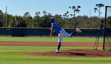 Rays’ Shane McClanahan has good reason to smile after facing hitters - Tampa Bay Times