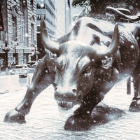 Hol dir den Wissensvorsprung der Profis.