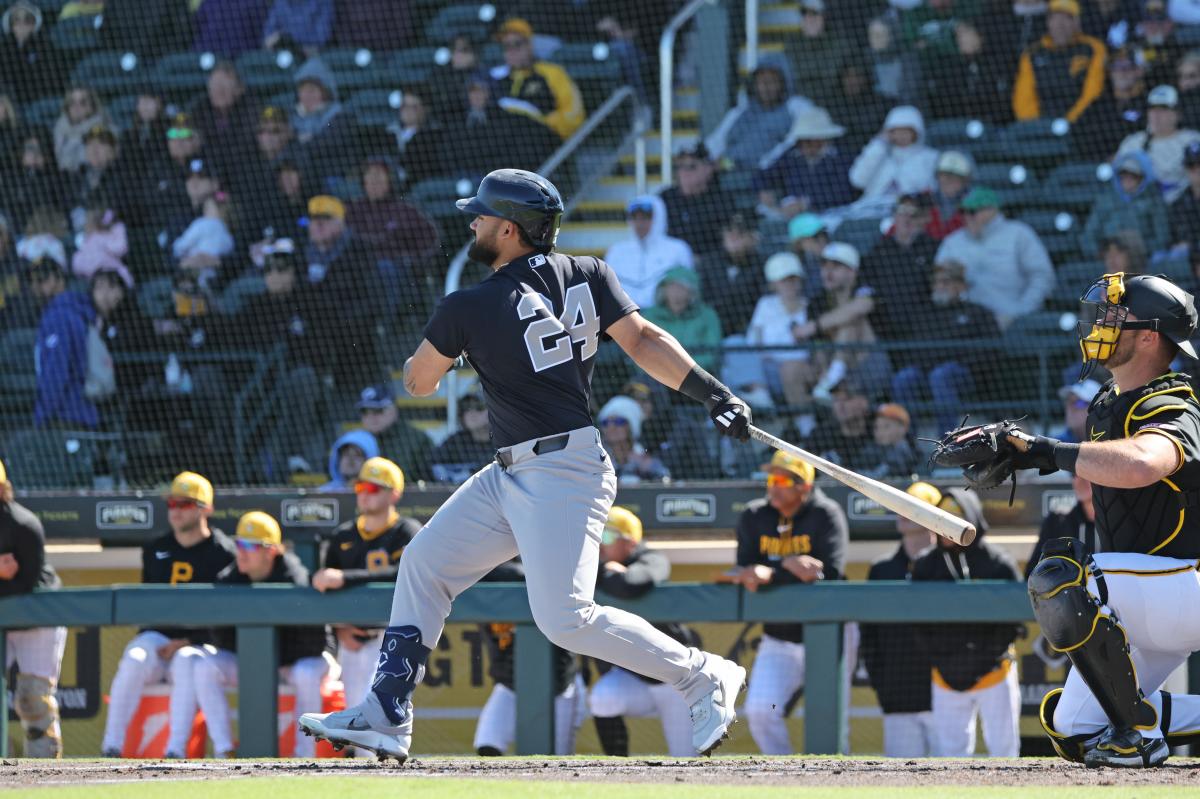 Jasson Dominguez trying to become valuable Yankees switch-hitter