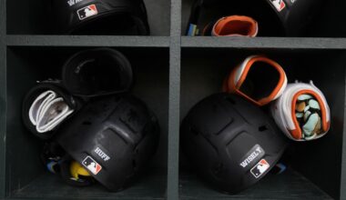 Player reviews: Remembering some hitters