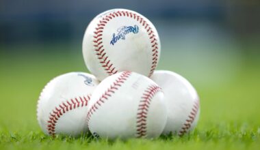 Colorado Rockies prospects: No. 11, Roldy Brito