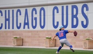 A brief visit to a Cubs spring workout, and comments from Tom Ricketts