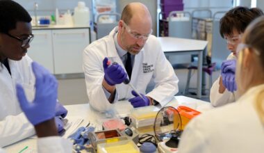 FanGraphs Lab review | Royals Review