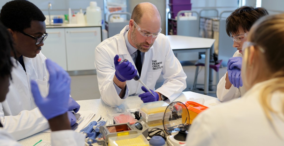 FanGraphs Lab review | Royals Review