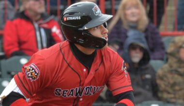 Guide to the Tigers non-roster invite position players in spring camp