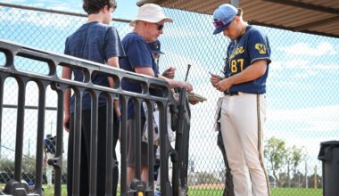 What are the best and worst traits of the Brewer fanbase?