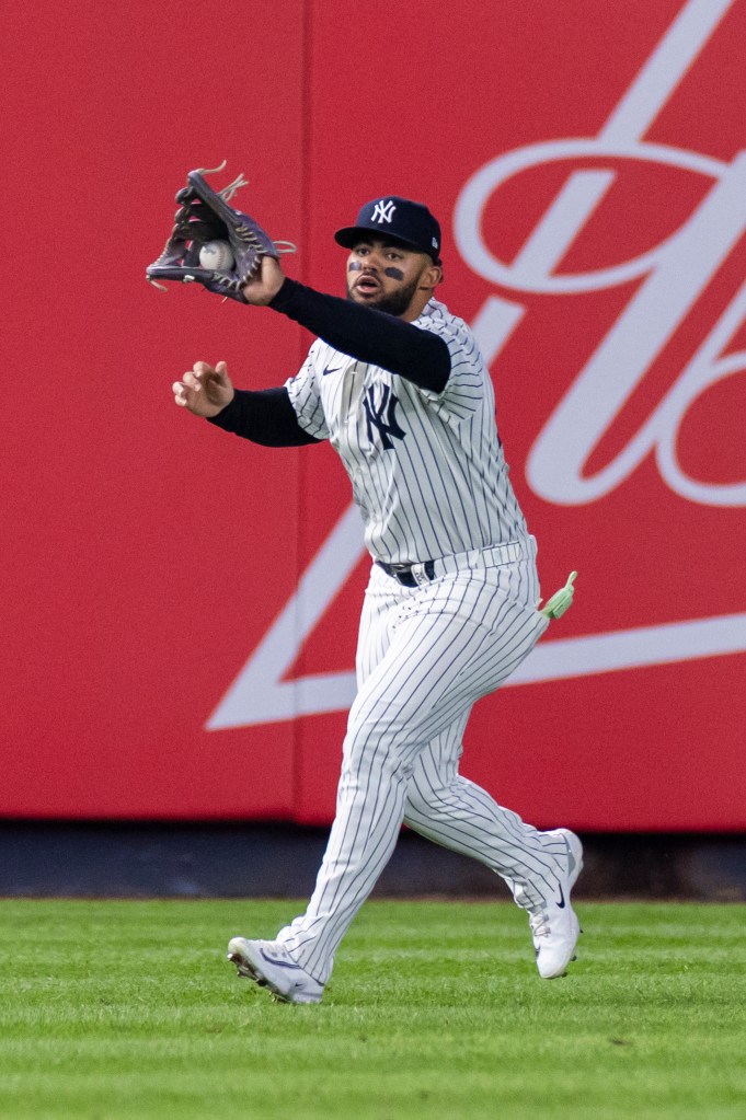 New York Yankees outfielder Jasson Domínguez catches a lineout.