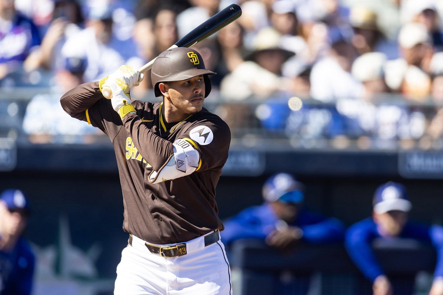 Spring Temperature Check: Who's Hot and Who's Cold in Padres Camp? (Feb. 23-26) - Padres