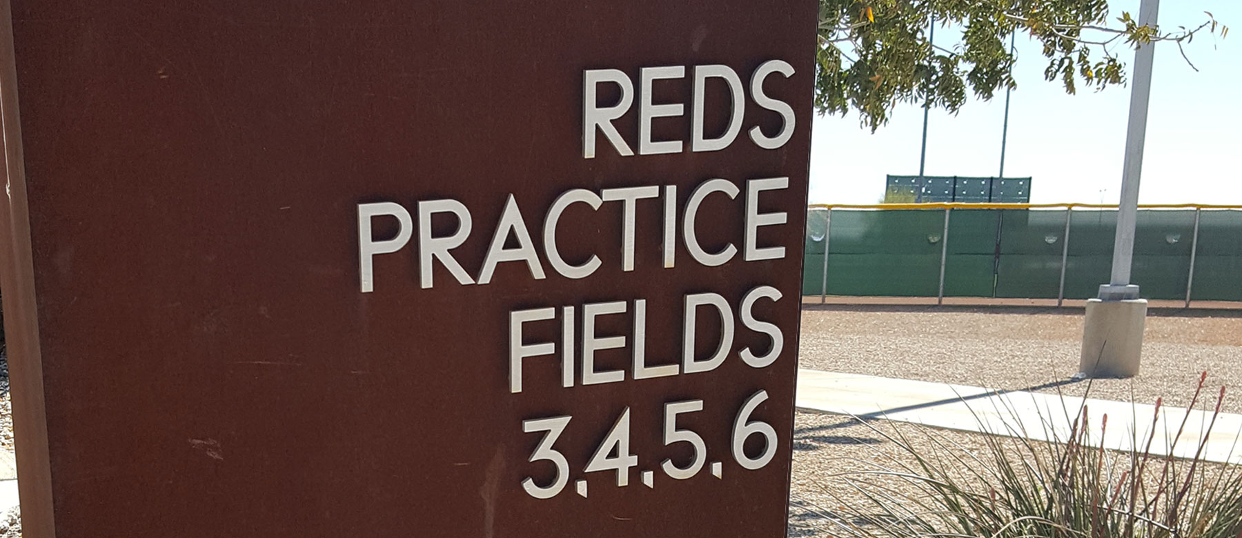 The 2026 Cincinnati Reds Baseball Season Begins Today