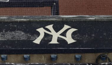 New York Yankees logo