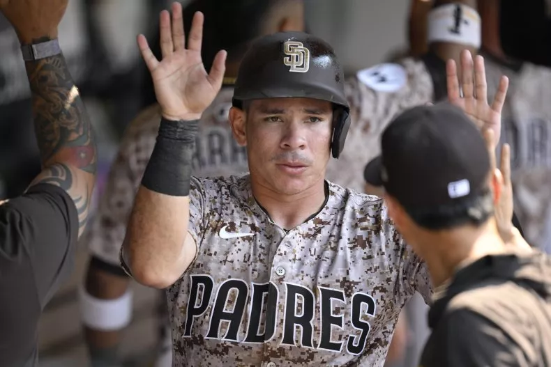 Freddy Fermin, Padres