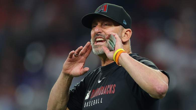 Torey Lovulllo of the Arizona Diamondbacks