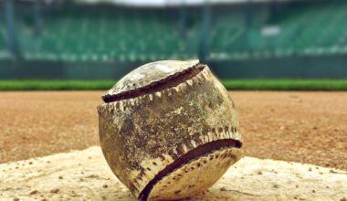 Play ball! WNIJ previews Chicago Cubs and Chicago White Sox spring training