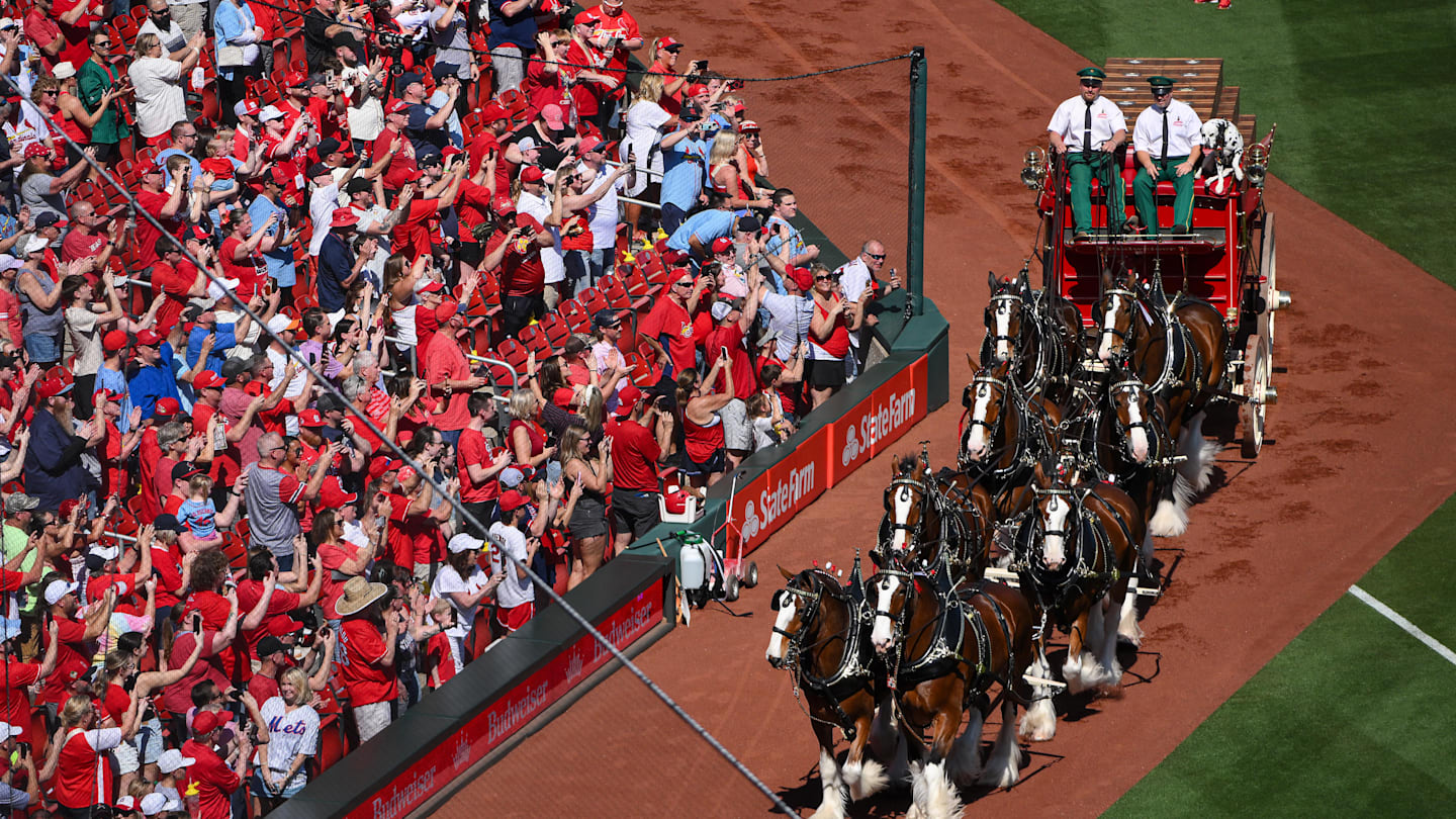 Mandatory Credit: Jeff Curry-Imagn Images