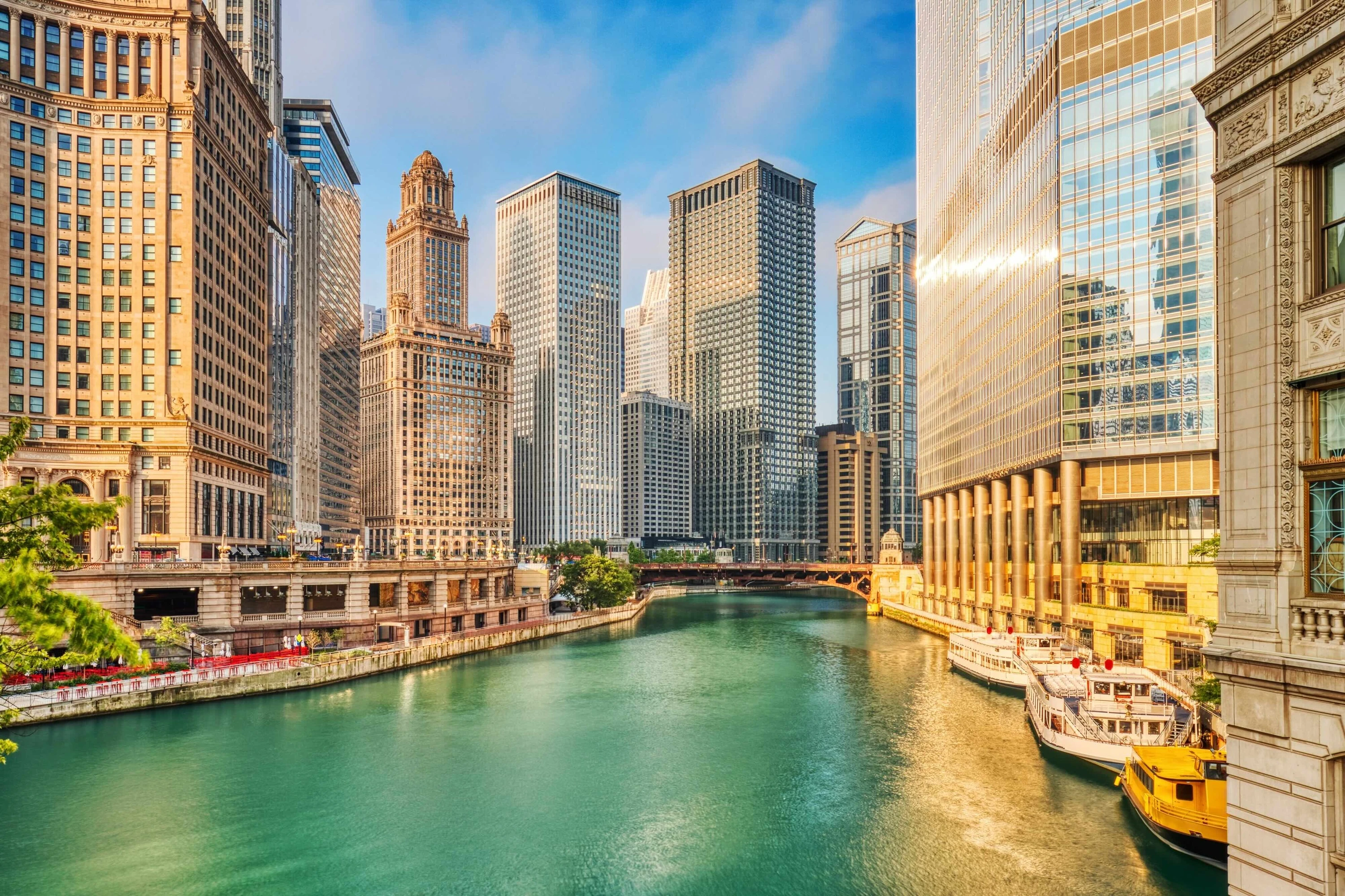 Chicago river and the skyline
