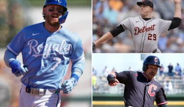 Why the Tigers will continue to roll over paltry division