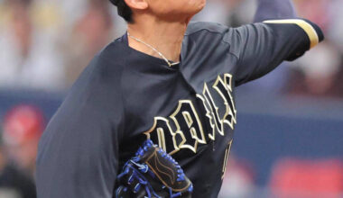 Orix Buffaloes