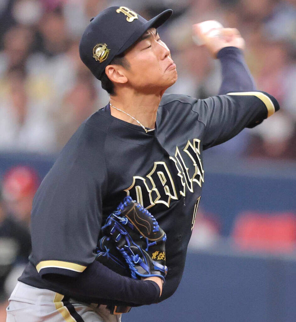 Orix Buffaloes