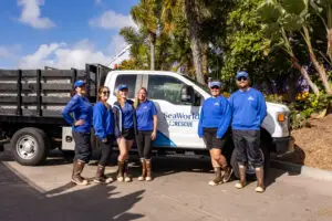 Inside SeaWorld San Diego’s Mission of Education and Conservation