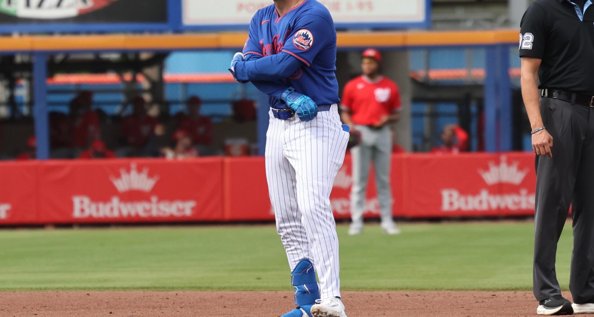 Tauchman Injured in Mets 7-5 Loss, Plus Notes From Split-Squad Loss to Nats