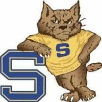 SATURDAY'S HIGH SCHOOL ROUNDUP: Shenango baseball team tops Riverside | Sports