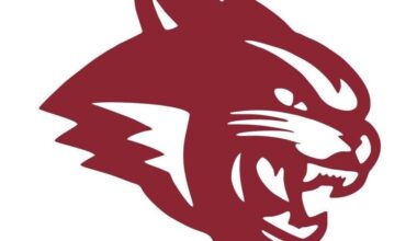 Wildcats roar through South Texas Slugfest | Local Sports