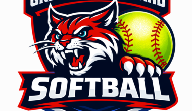 Ladycats go 2-3 at Converse Judson tournament | State News