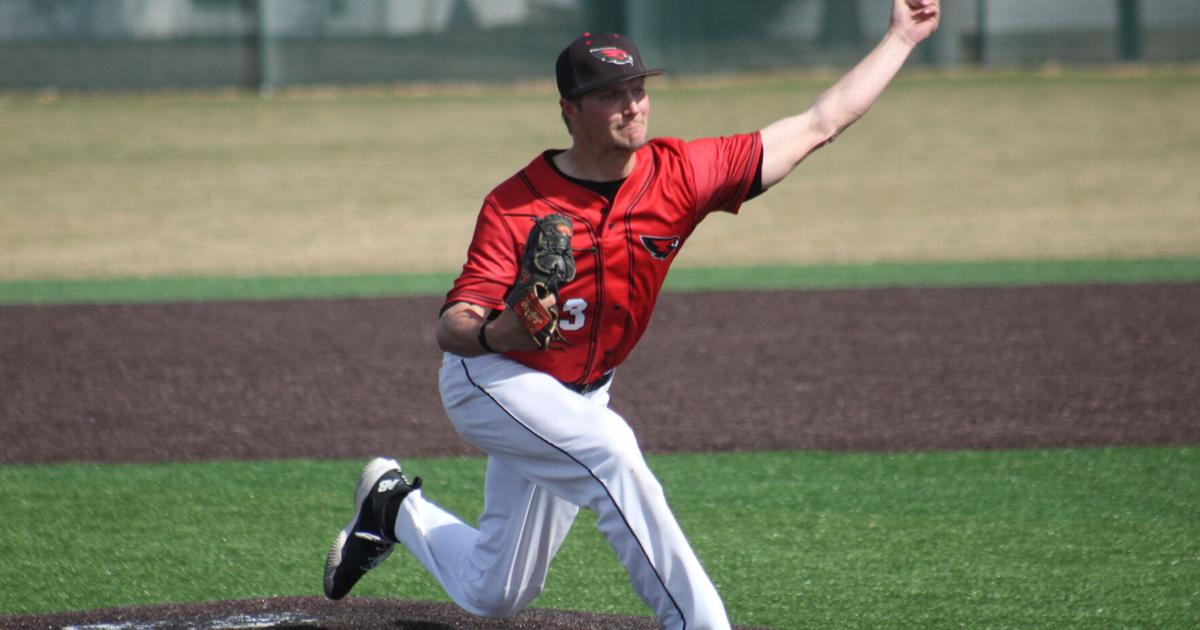 Bats stay hot as Hawk baseball stretches win streak to seven | Sports