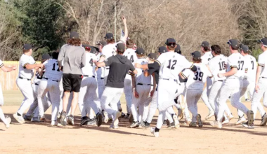 Wild ninth inning rally gives Wayne State 13-12 win over Concordia-St. Paul | Sports