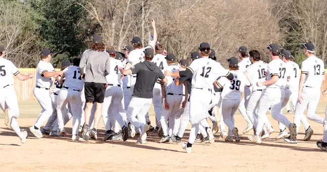 Wild ninth inning rally gives Wayne State 13-12 win over Concordia-St. Paul | Sports