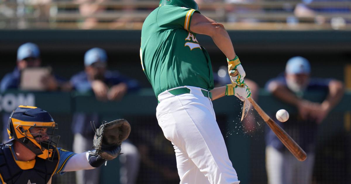 Catcher Reese McGuire rejoins the Chicago White Sox on a $1.2 million, 1-year deal | National Sports