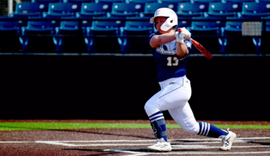 Mocs softball team drops rubber match, 8-3, with Wofford Terriers | Local Sports