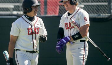 Elk offense explodes against struggling Yellow Jackets | Sports