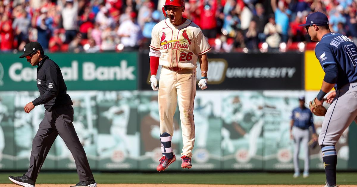 Cardinals rookie JJ Wetherholt hits walk-off single to beat Rays 6-5 in 10th inning | National Sports