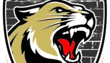 KVHS softball doomed by Bulldogs' 6-0 start in 11-1 loss | Sports