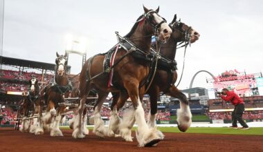Everything you need to know about Opening Day for the Cardinals